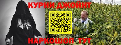 мяу мяу мука Кандалакша